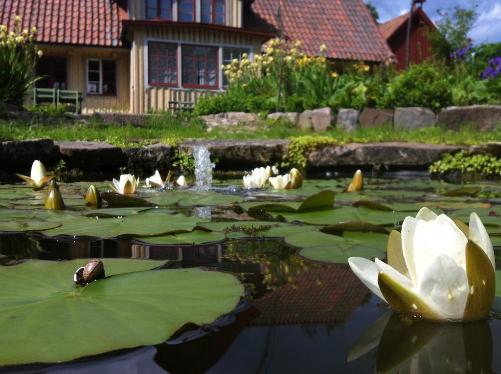 Vildrosor & Hoens Hagstad Buitenkant foto